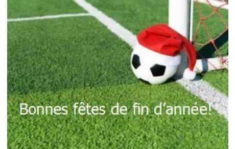 Bonnes fêtes de fin d'année